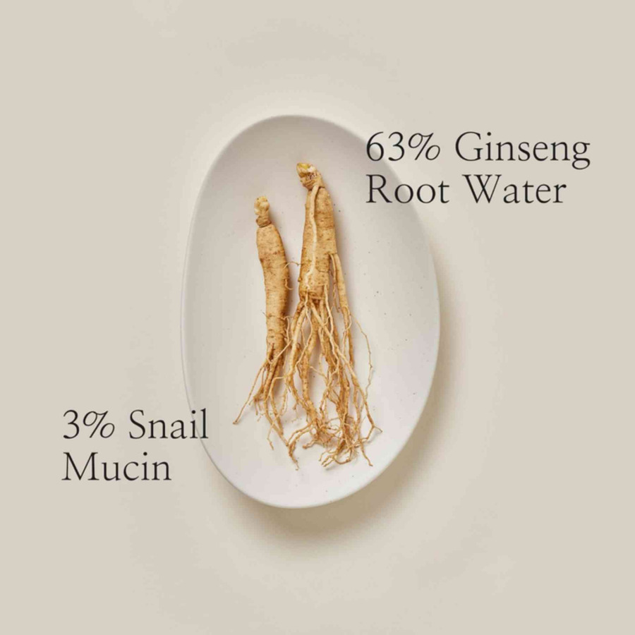 Revive Serum: Ginseng + Snail Mucin - Image 4