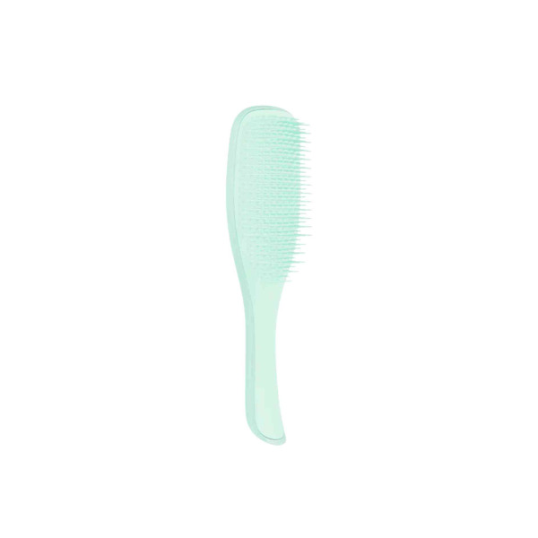 Detangles Fine & Fragile Mint