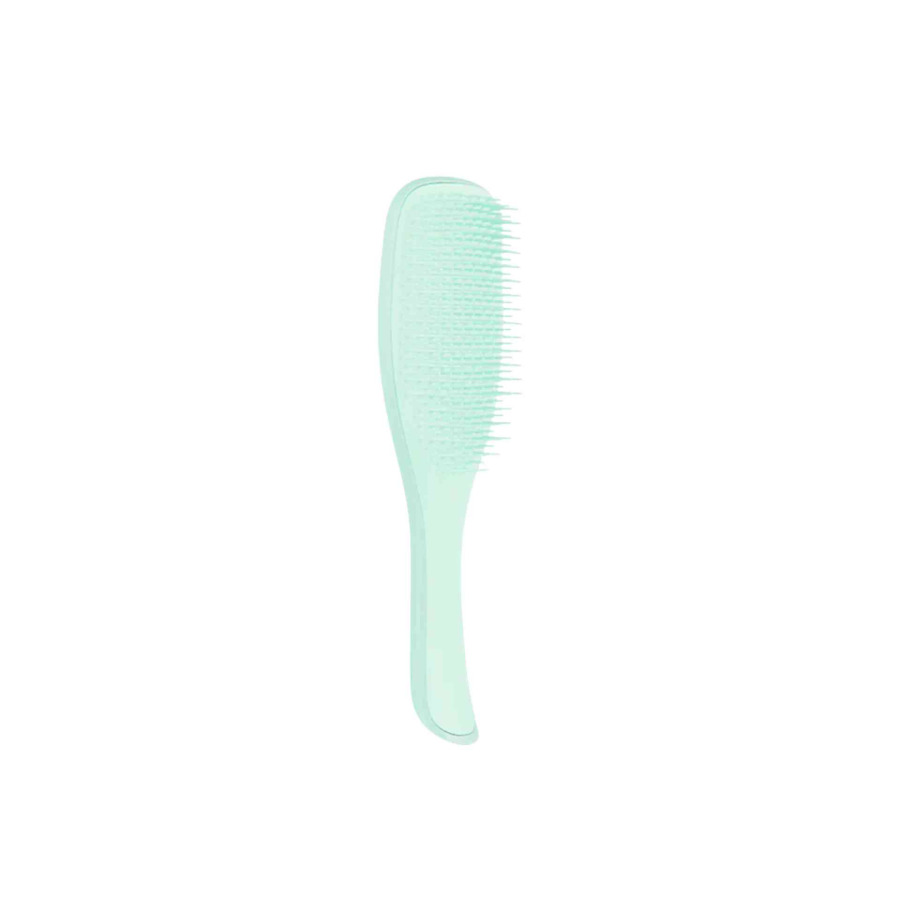 Detangles Fine & Fragile Mint