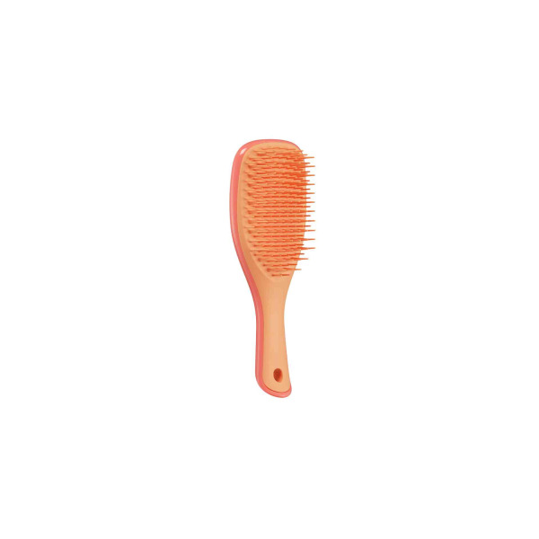 Tangle Teezer - Detangler Mini Pink Orange