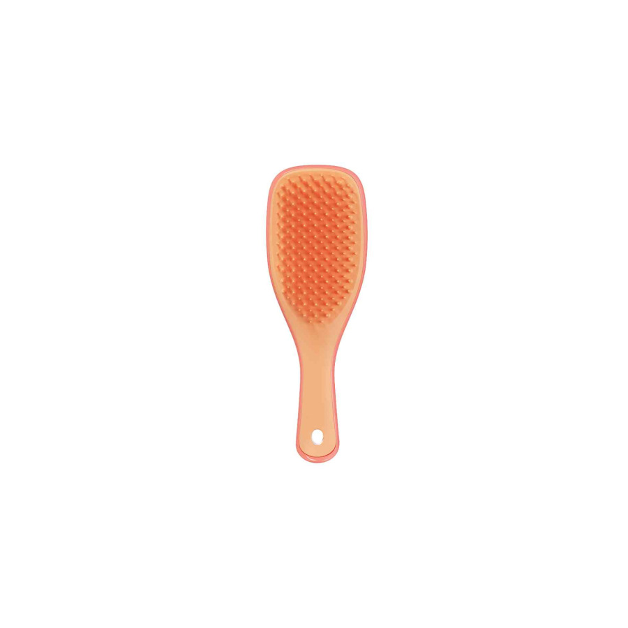 TT - Detangler Mini Pink Orange